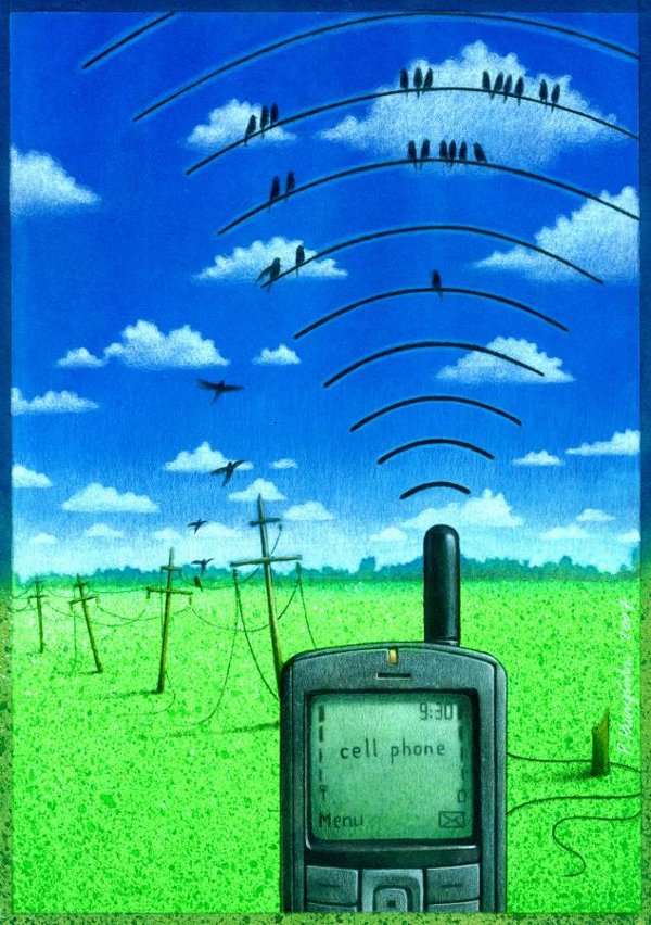 PawelKuczynski_Wireless