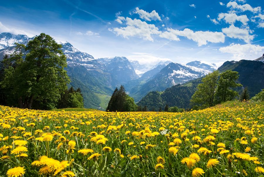 Braunwald-Switzerland